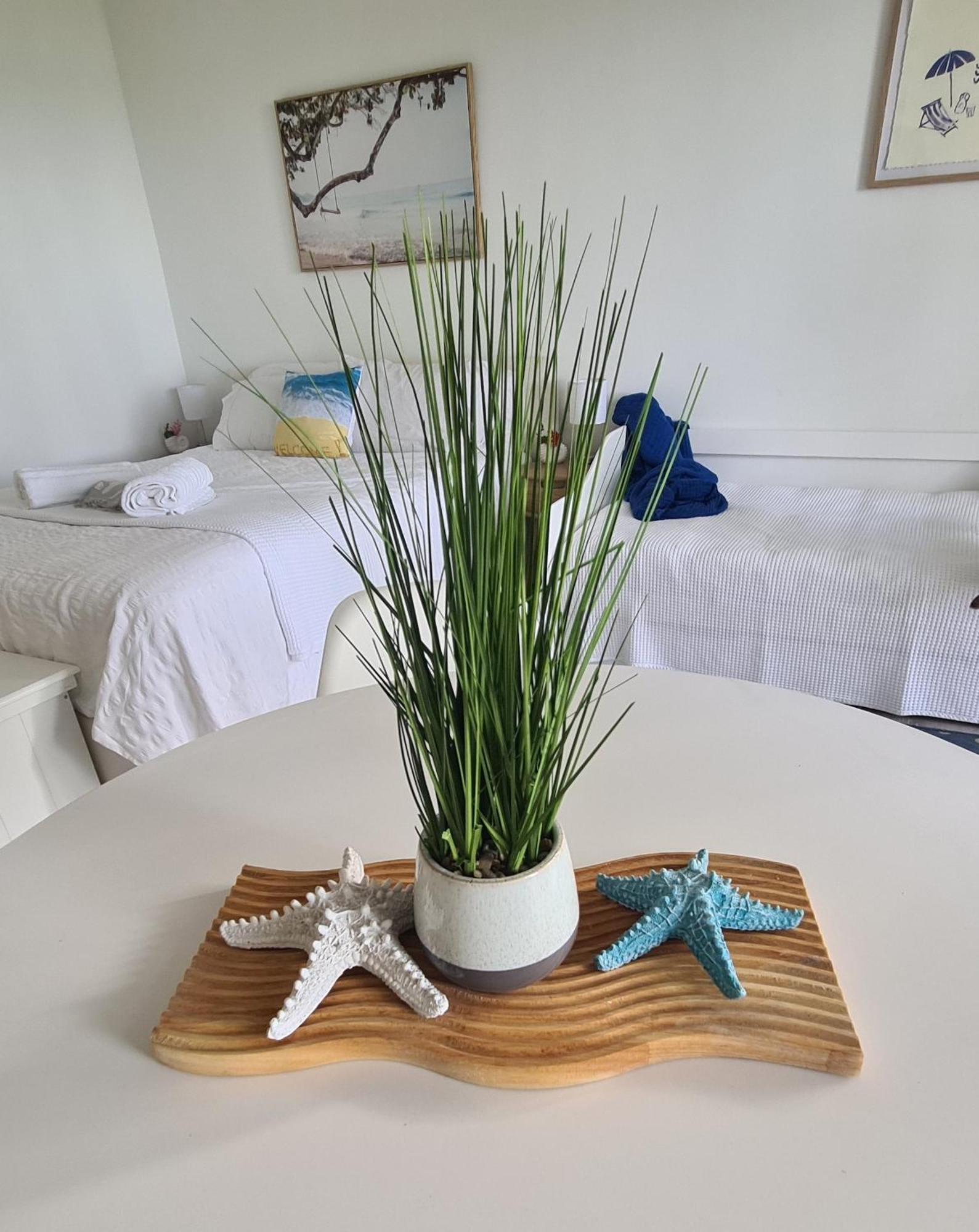 Dolphin Heads - Resort Unit - Absolute Beachfront! - Whitsunday Getaway! Mackay Luaran gambar